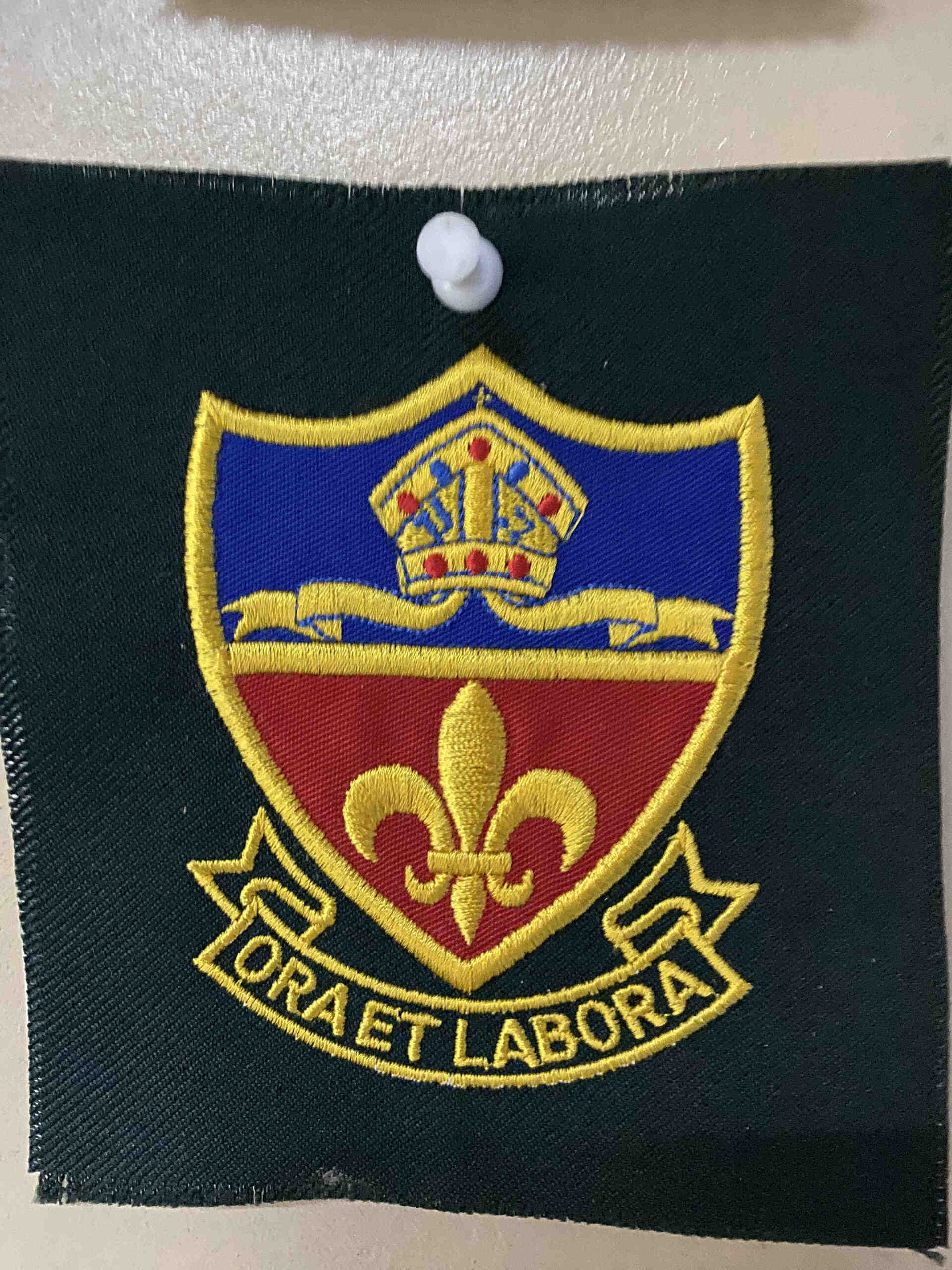 School emblem embroidered patch with blue and red shield, gold trim, fleur-de-lis, crown, and banner reading 