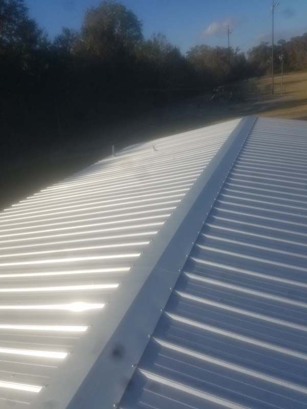 White corrugated metal roof in sunlight with trees and blue sky in the background