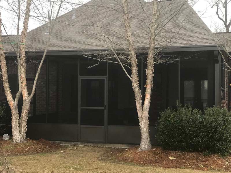 Small dark house porch with screened door, white-barked trees, and shrubs in front