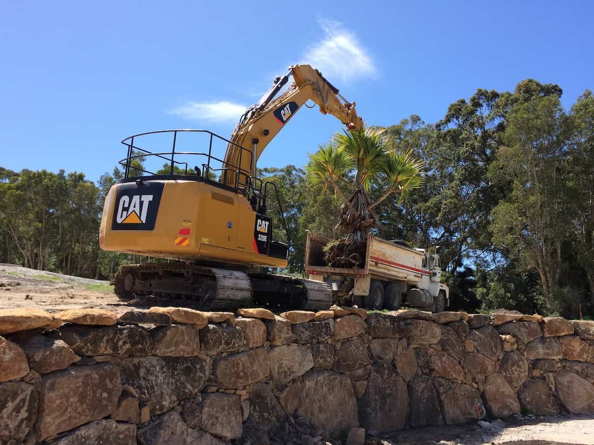 Excavator Is Lifting a Tree Into a Truck — J & M Bashforth & Sons In Evans Head, NSW