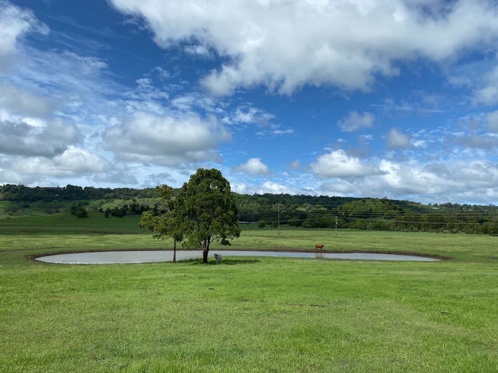 There Is A Tree In The Middle Of A Field With A Pond — J & M Bashforth & Sons In Brunswick Heads, NSW