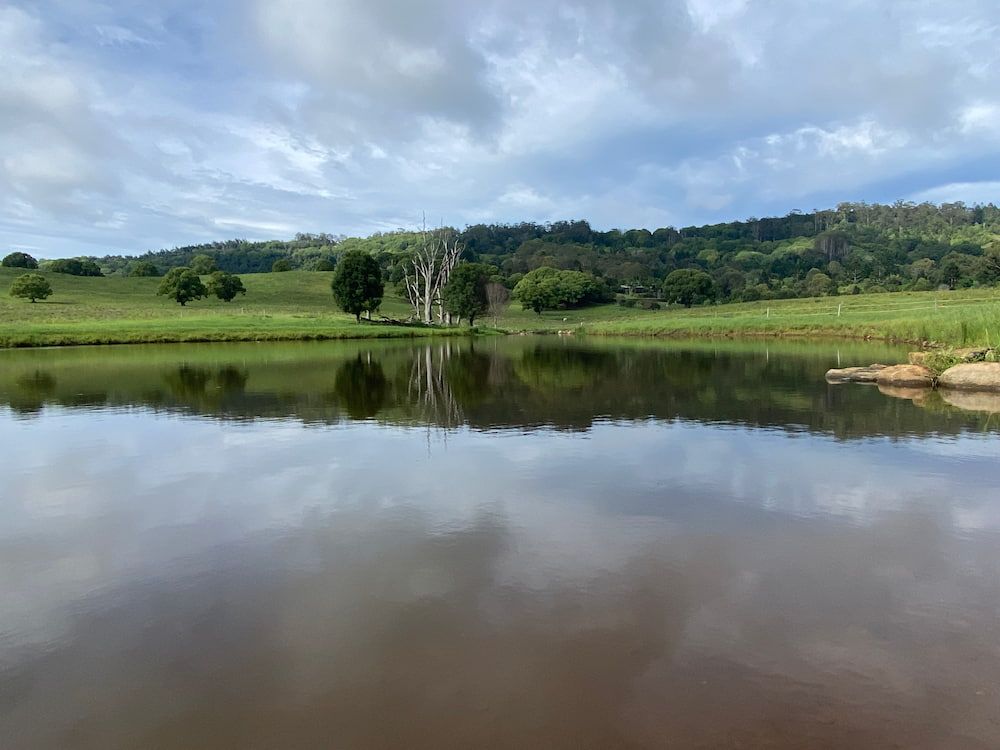 A Large Body Of Water Surrounded By Trees And Grass With A Mountain In The Background — J & M Bashforth & Sons In Brunswick Heads, NSW