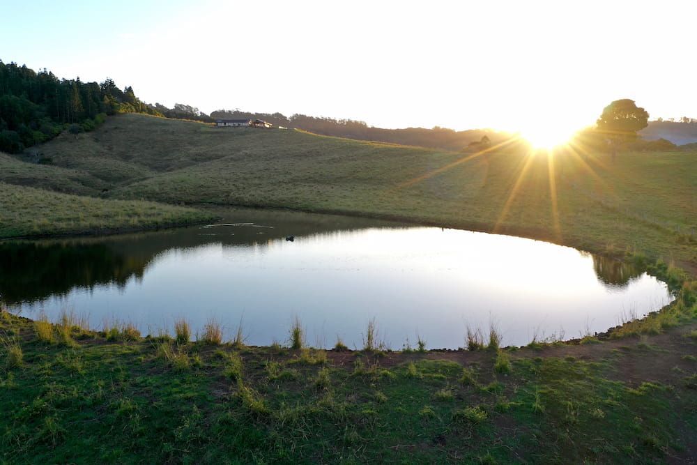 The Sun Is Setting Over A Small Pond In The Middle Of A Grassy Field — J & M Bashforth & Sons In Brunswick Heads, NSW