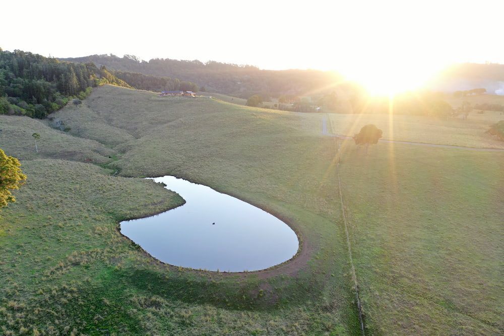 An Aerial View Of A Small Pond In The Middle Of A Grassy Field — J & M Bashforth & Sons In Brunswick Heads, NSW