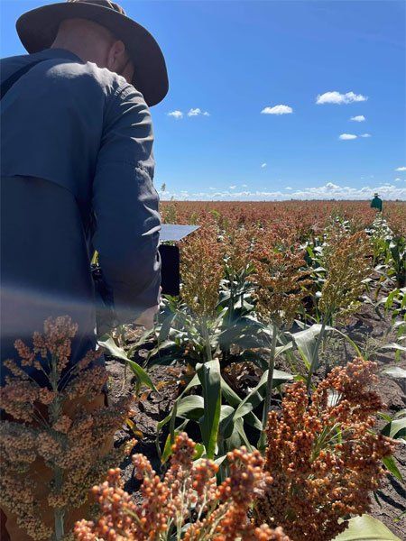 photography in a field