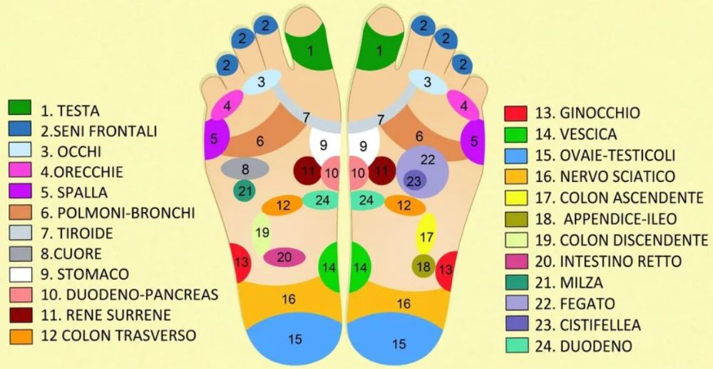 Schema di riflessologia plantare che mostra zone numerate e colorate corrispondenti a vari organi e parti del corpo umano.
