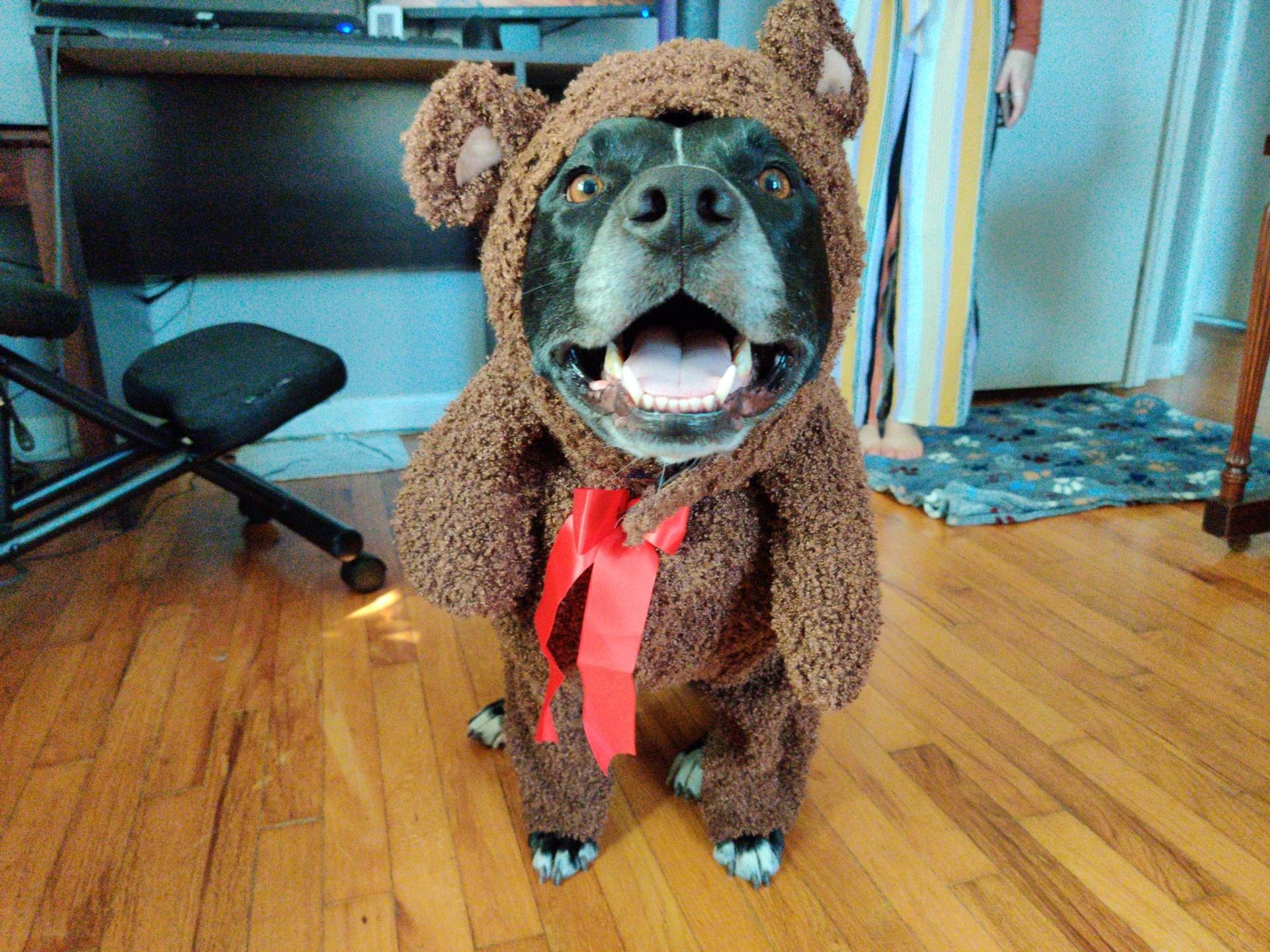 Party Supply Store Evansville, IN Nick Nackery