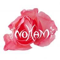 Une rose rose avec le mot coton écrit dessus.