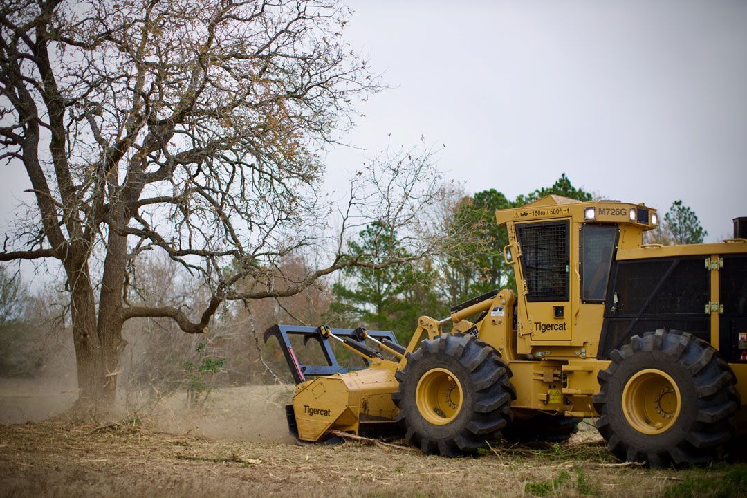 Yellow forestry mulcher clearing brush around a large tree in a field.