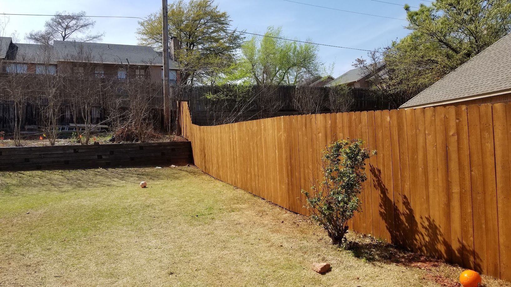 Backyard with a wooden privacy fence, dry grass, and a small shrub in sunlight