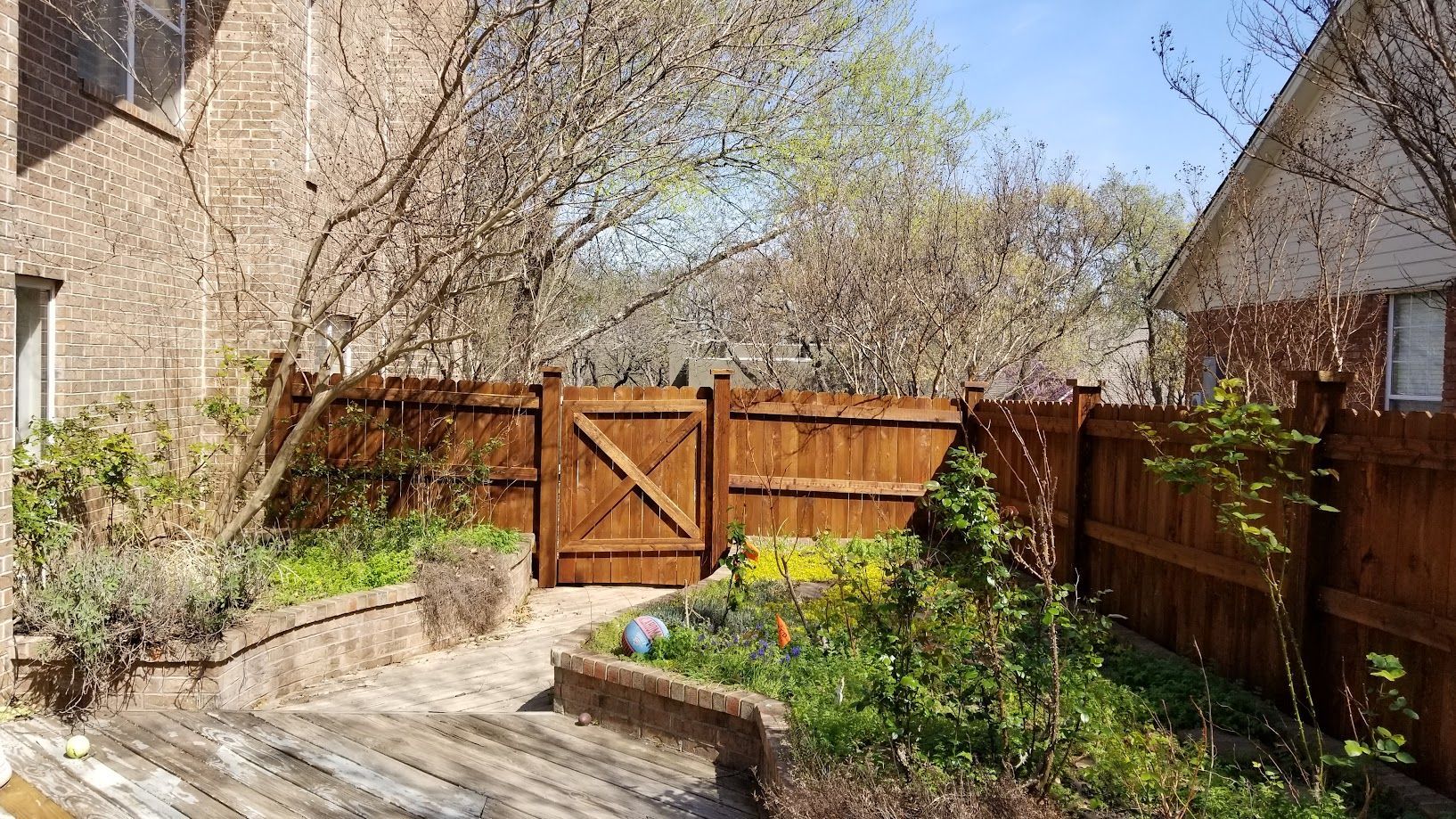 Sunny backyard garden with wooden fence, gate, stone path, and blooming yellow flowers.