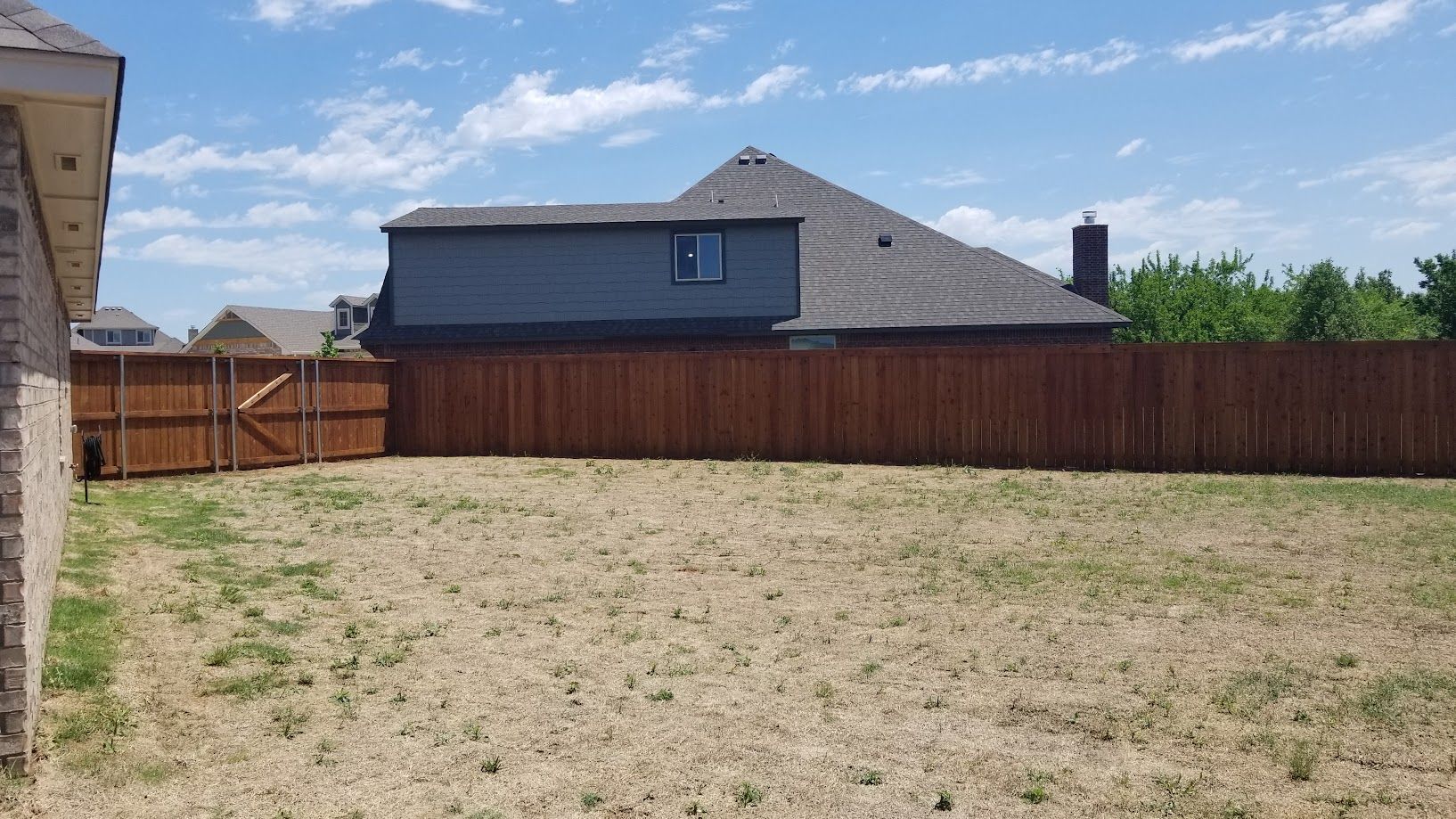 Backyard with dry grass, wooden fence, and a gray house under a blue sky