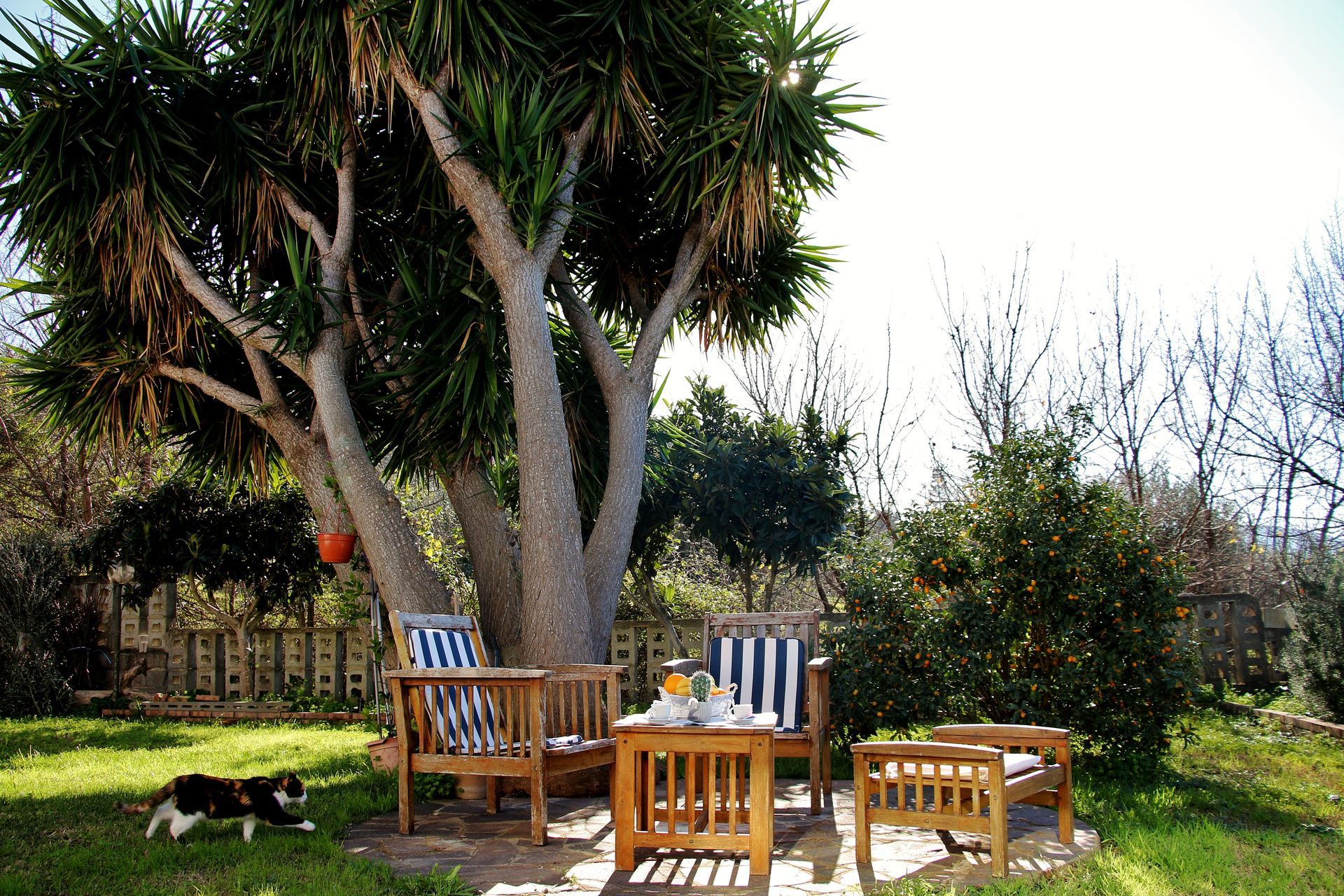 B&B AGROPOLI (SA)