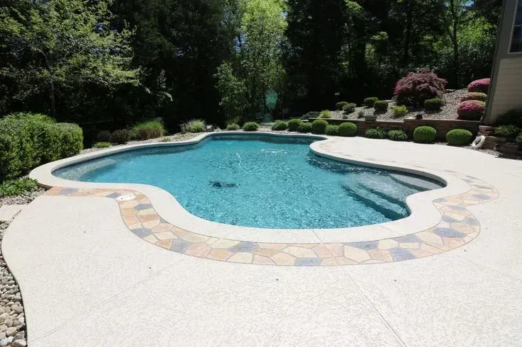 Curved backyard swimming pool with blue water, stone border, and lush green landscaping