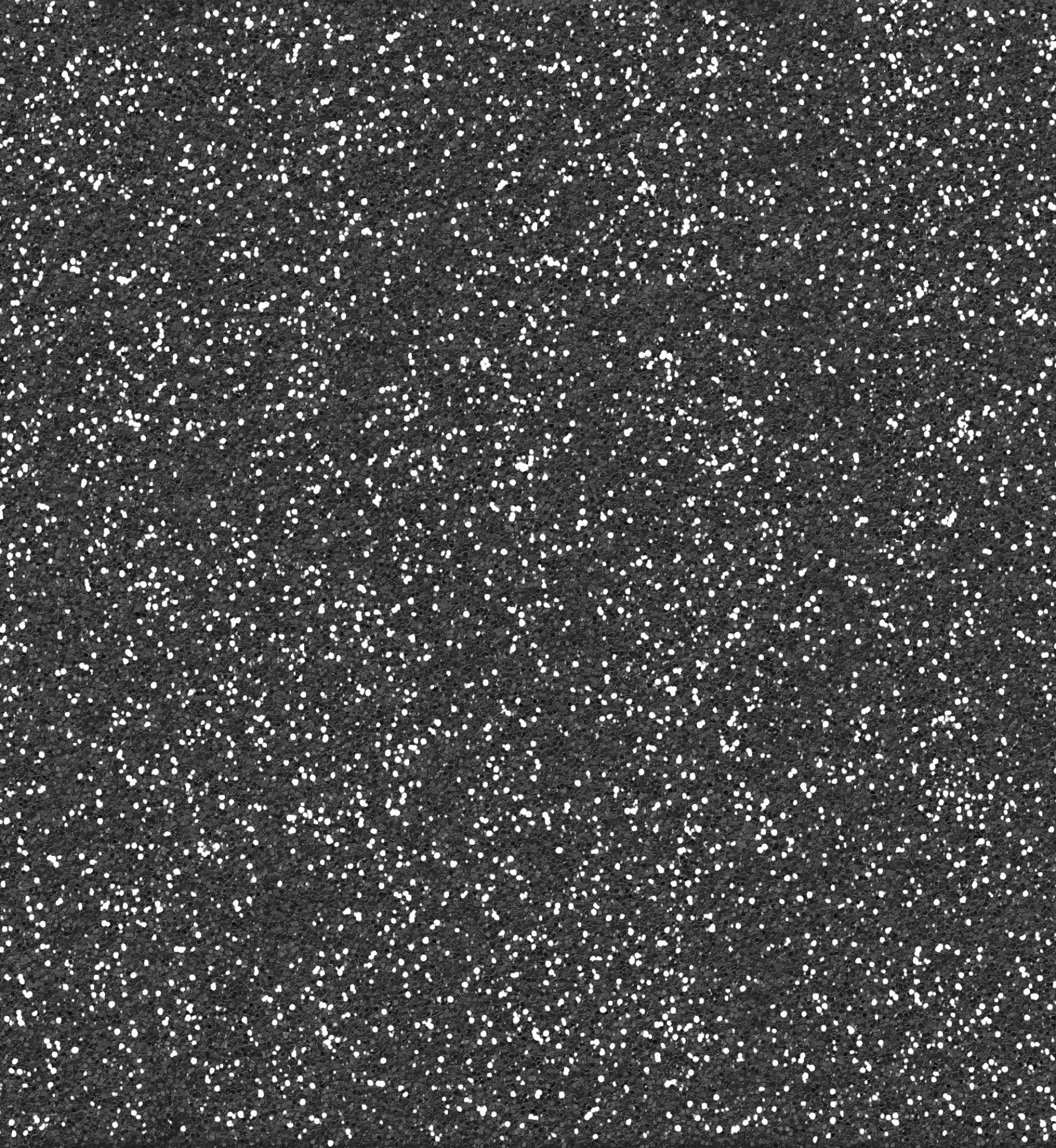 Exposed Aggregate Black and white Mix