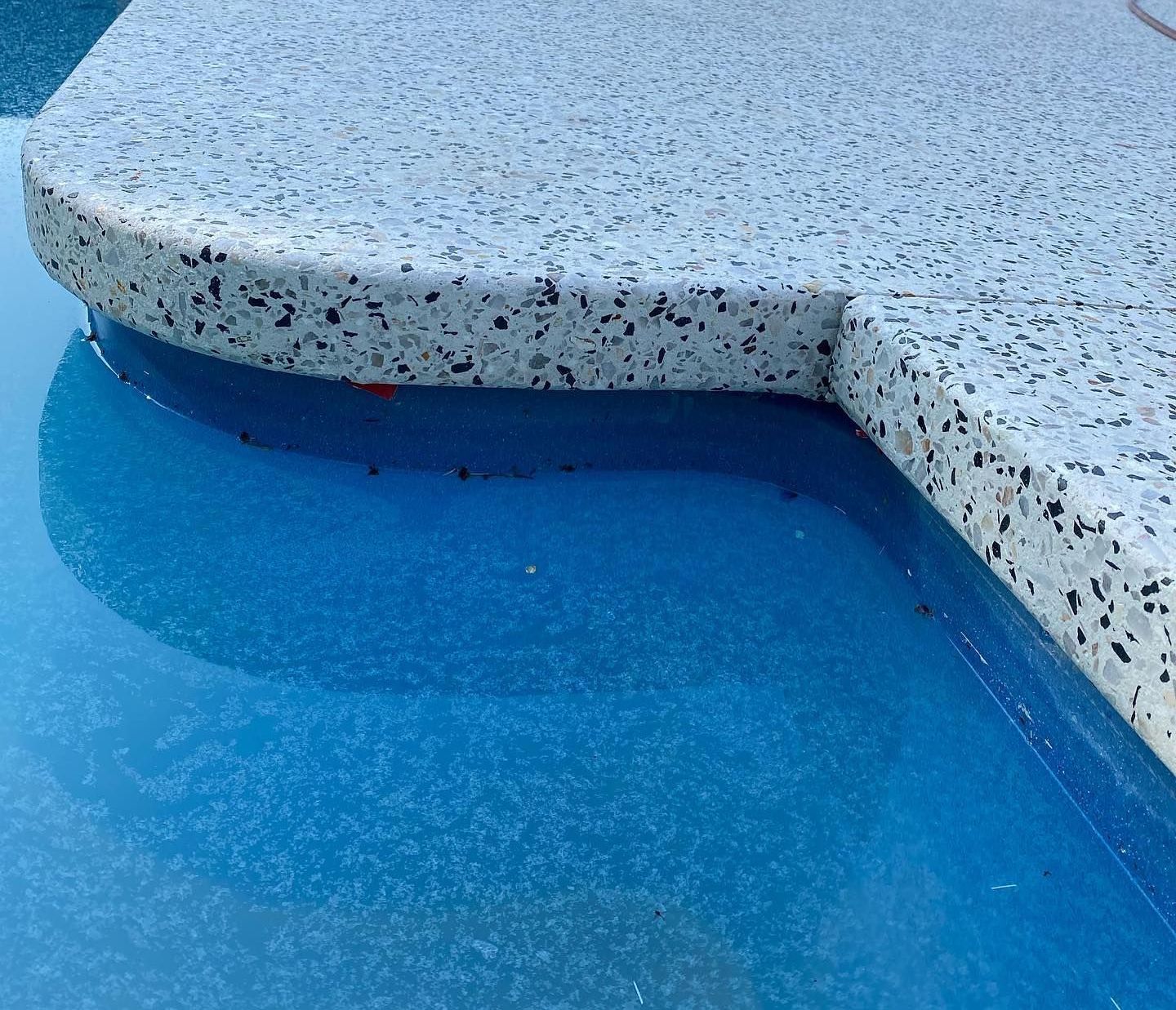 A bullnose concrete pool edge with a white and black speckled concrete mix edging blue pool