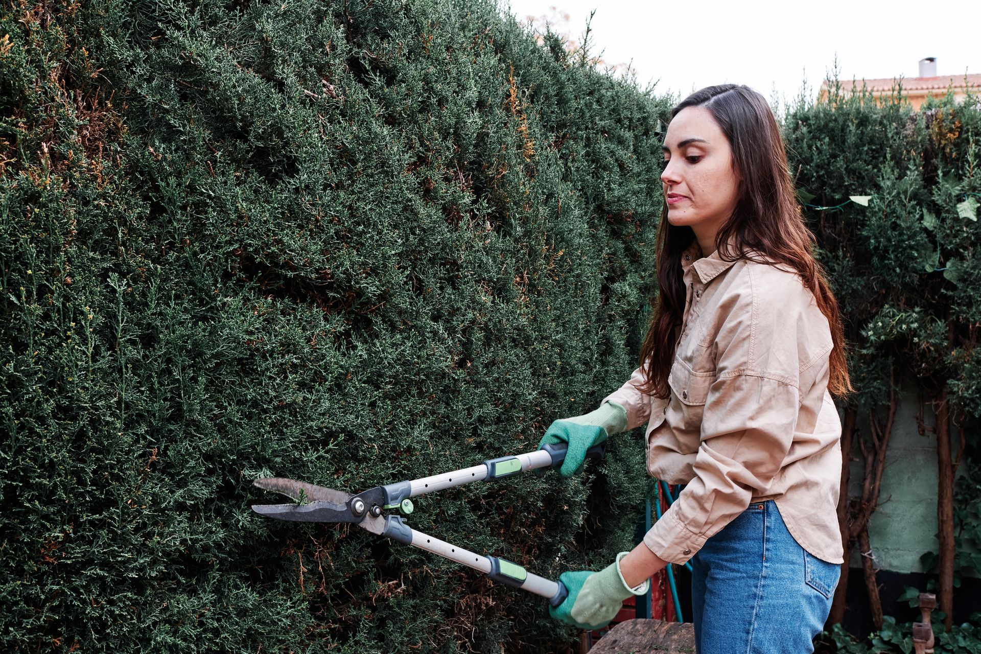 A Woman is cutting a Hedge with a pair of Scissors - Kokomo. IN - Austin Tree Care A Woman is cutting a Hedge with a pair of Scissors - Kokomo. IN - Austin Tree Care