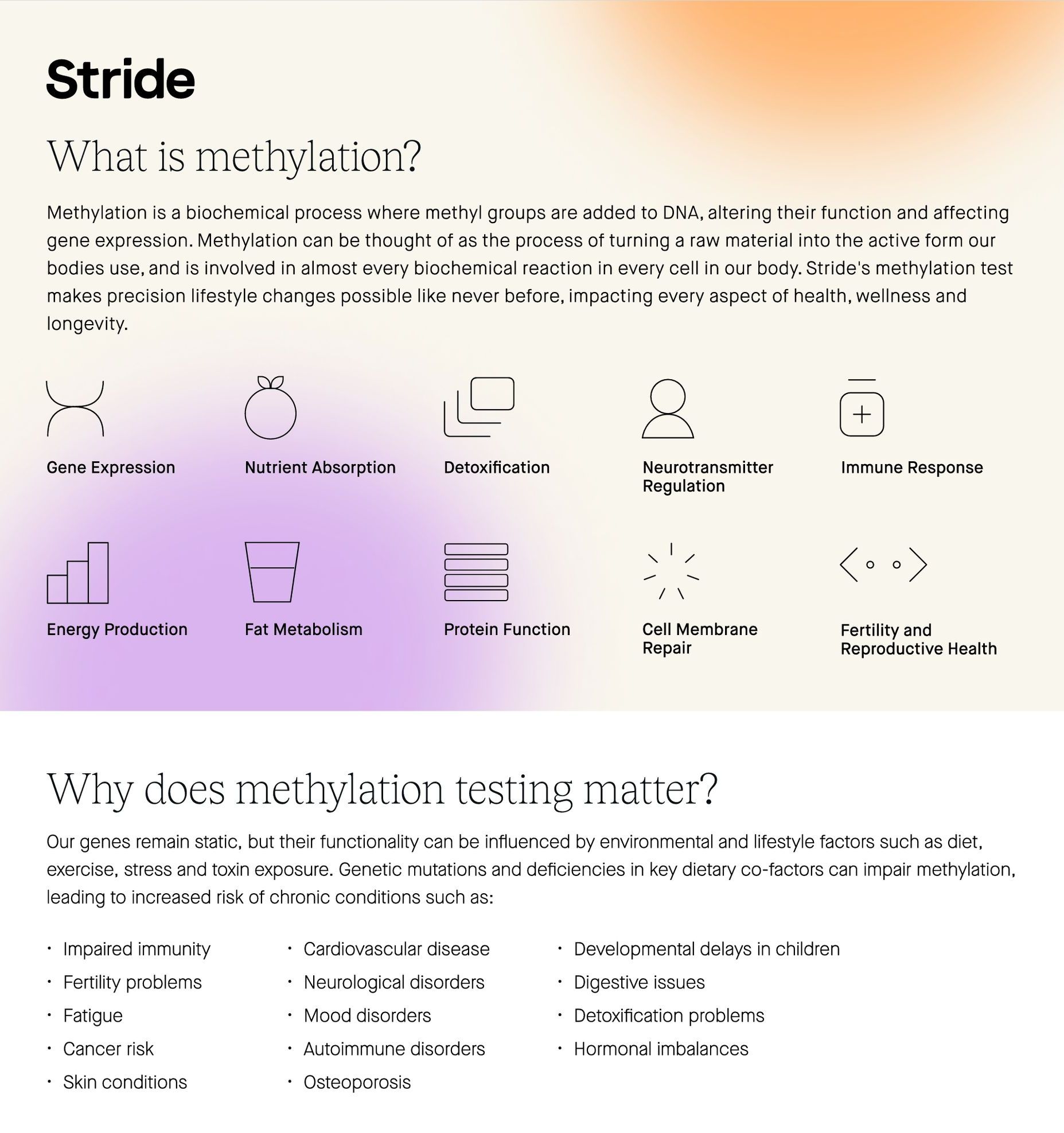 Infographic from Stride explaining methylation, its biological importance, and why methylation testing matters for health.