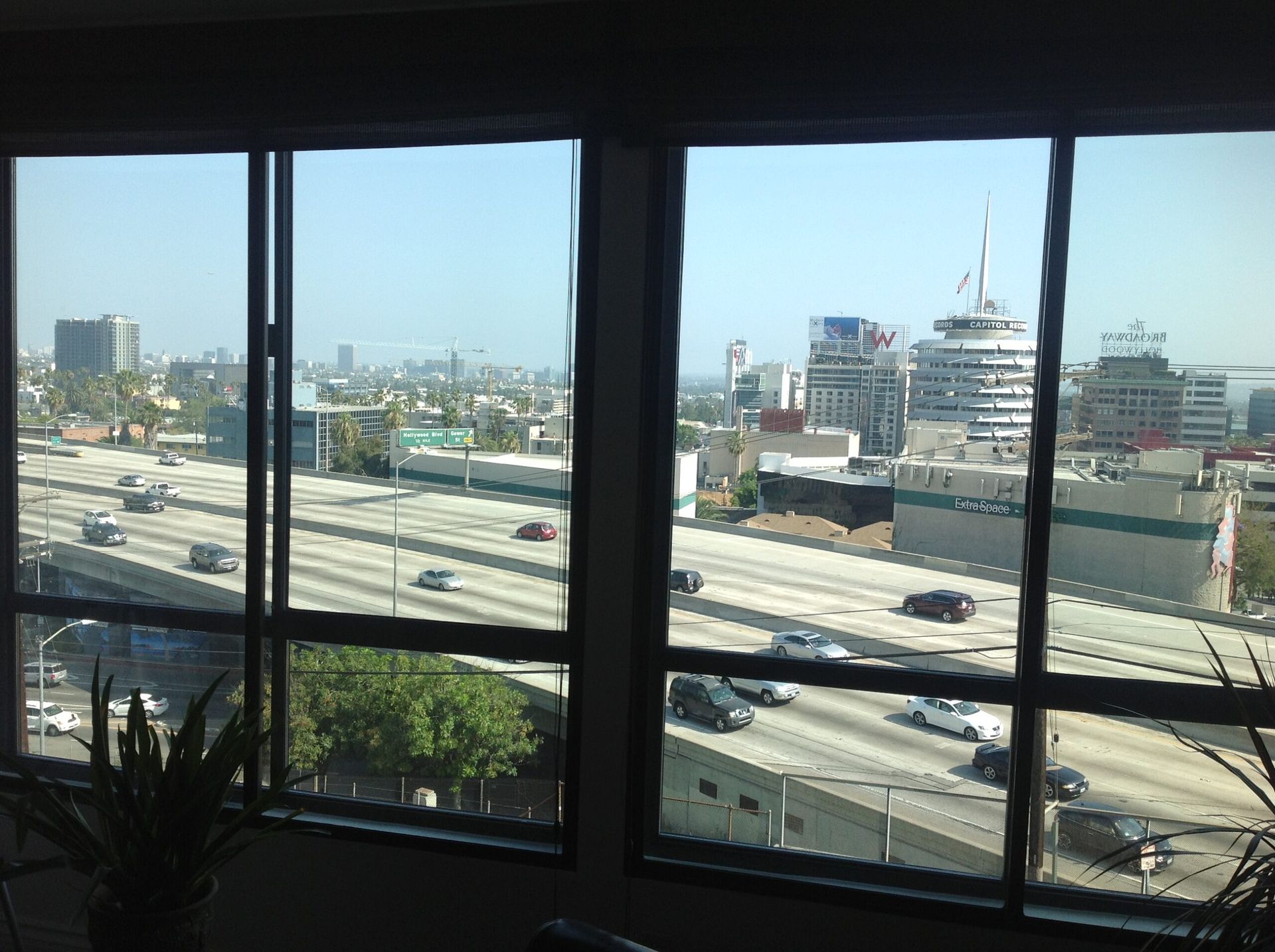 Black-framed window overlooking trees and buildings; bright outdoor view.