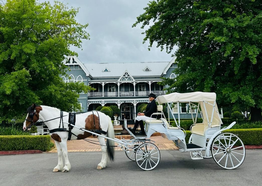 A Horse Drawn Carriage is Parked in Front of a Large Building — Prestige Horse Carriages in Mitchells Flat, NSW