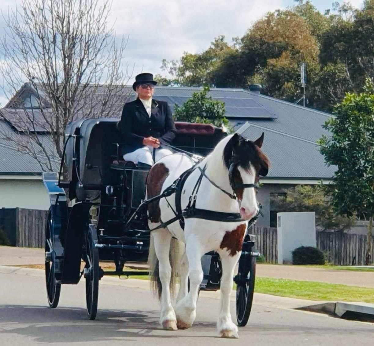 A Man is Riding a Horse Drawn Carriage Down a Street — Prestige Horse Carriages in Mitchells Flat, NSW