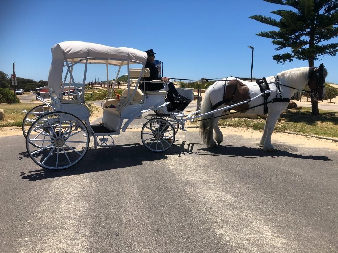 A horse drawn carriage is parked on the side of the road.