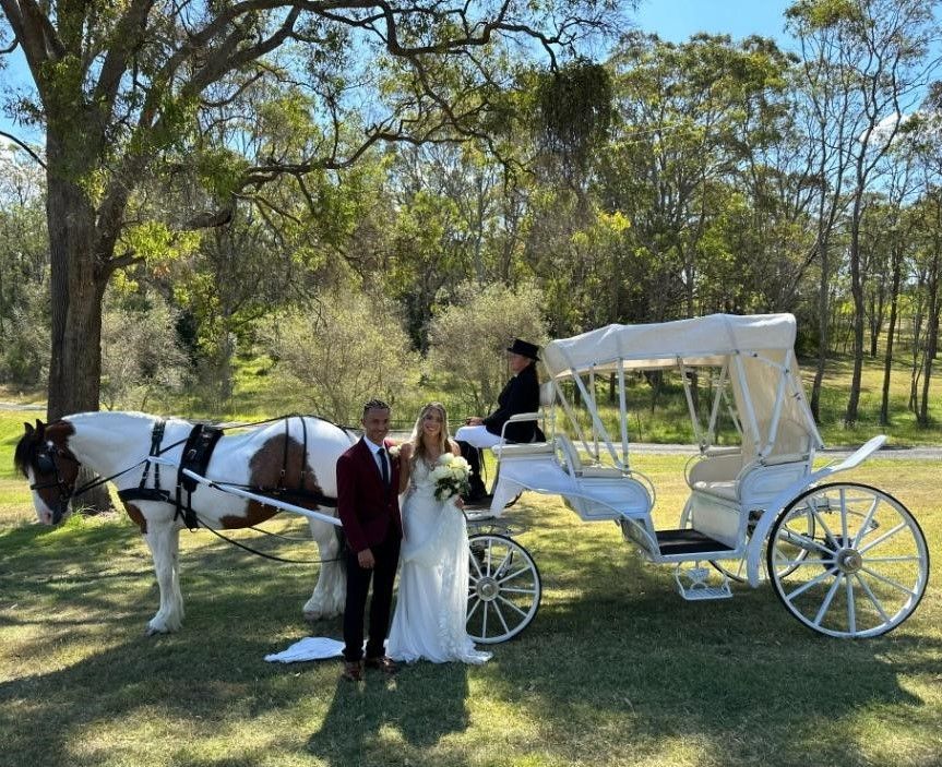 A Bride and Groom Are Posing for a Picture — Prestige Horse Carriages in Central Coast, NSW