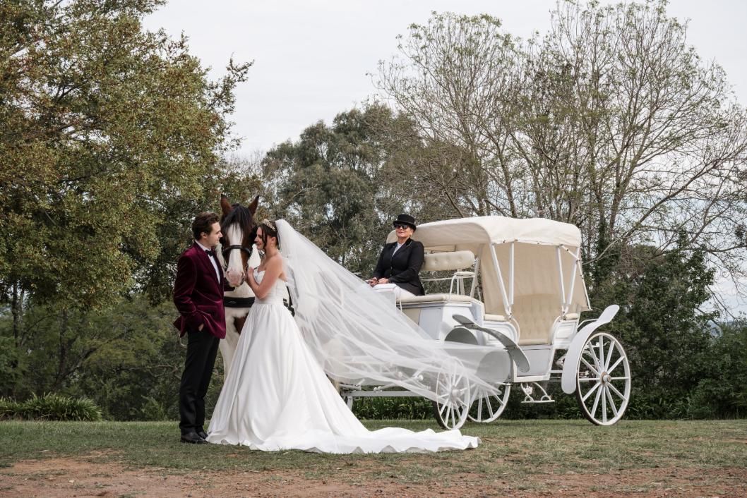 A Bride and Groom Are Standing Next to a Horse Drawn Carriage — Prestige Horse Carriages in Mitchells Flat, NSW