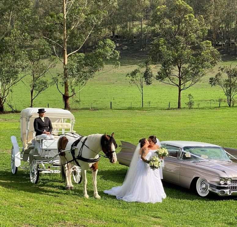 A Bride and Groom Are Kissing in Front of a Horse Drawn Carriage — Prestige Horse Carriages in Central Coast, NSW