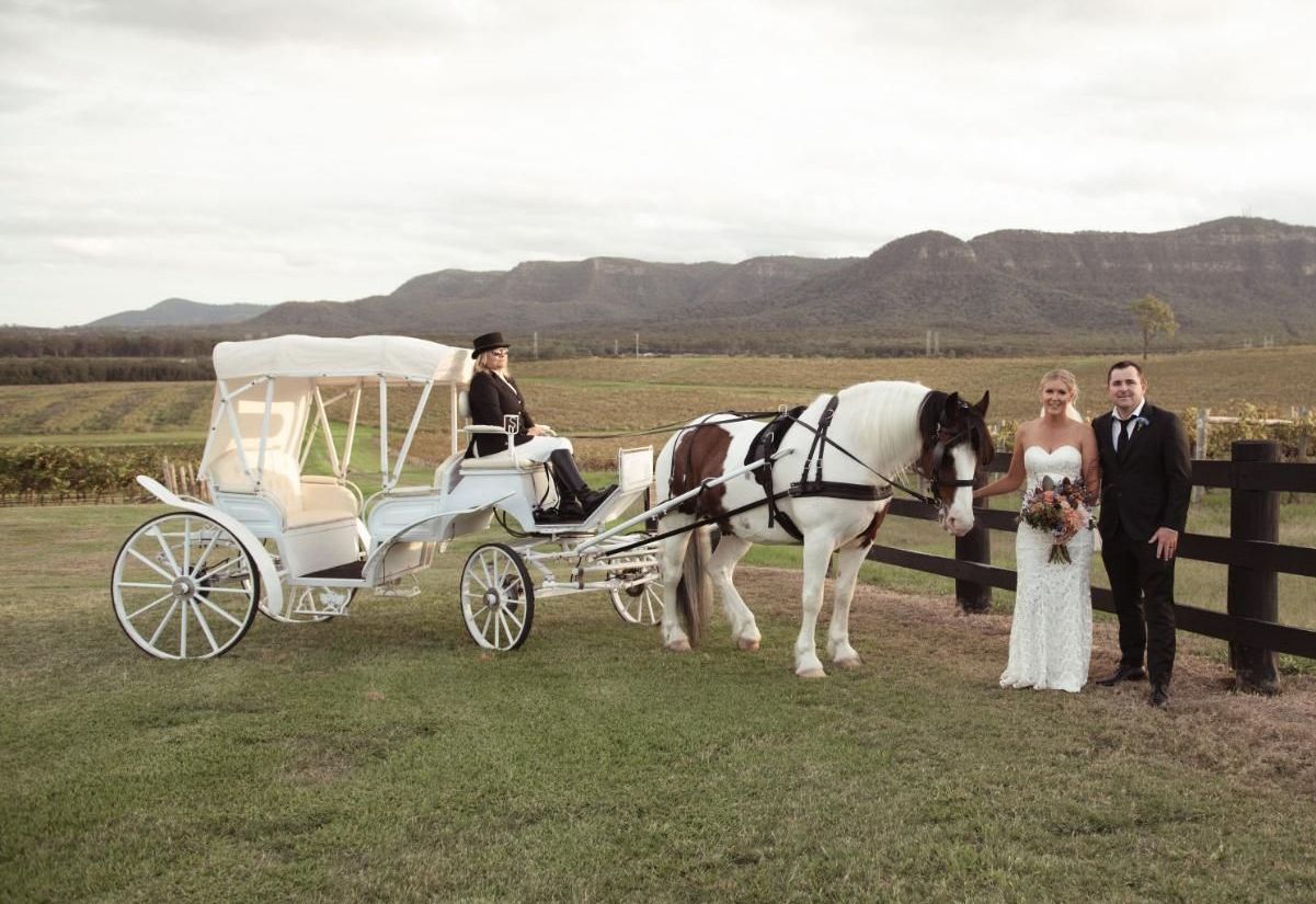A Bride and Groom Are Standing Next to a Horse Drawn Carriage — Prestige Horse Carriages in Pokolbin, NSW