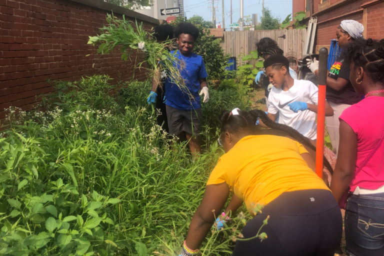 A group of people are working in a garden.