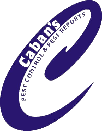Residential & Commercial Pest Control in the Northern Rivers Residential & Commercial Pest Control in the Northern Rivers