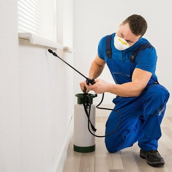 A Man Wearing A Mask Is Spraying A Wall With A Sprayer — Caban's Pest Control In Goonellabah, NSW