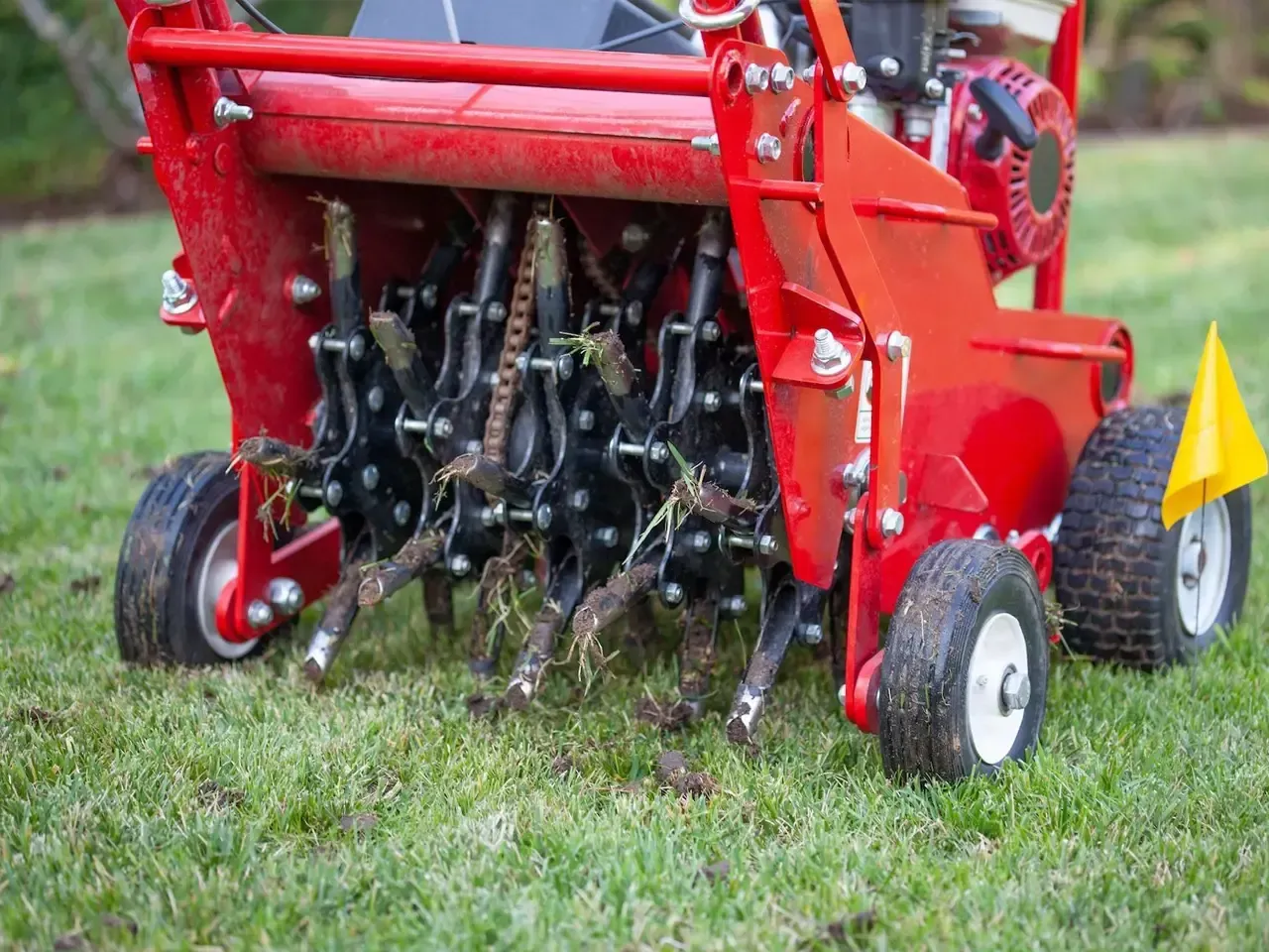 Aeration & Overseeding