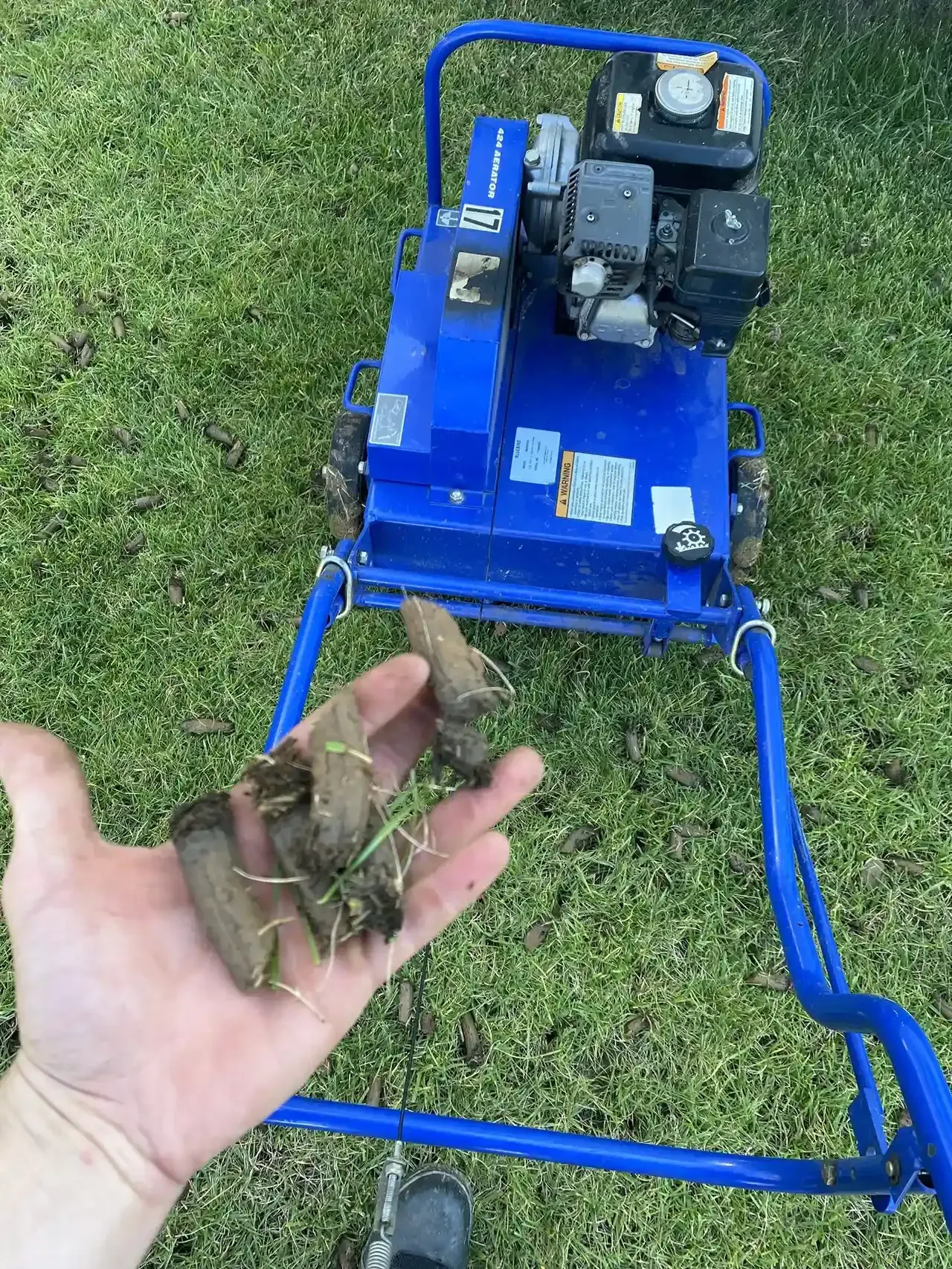 Aeration & Overseeding