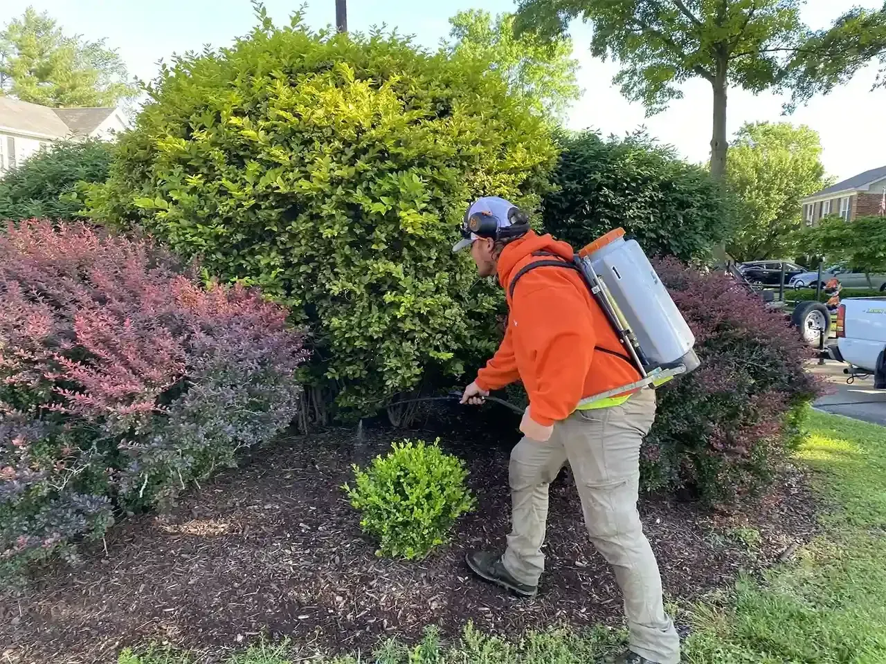 Fertilization & Weed Control