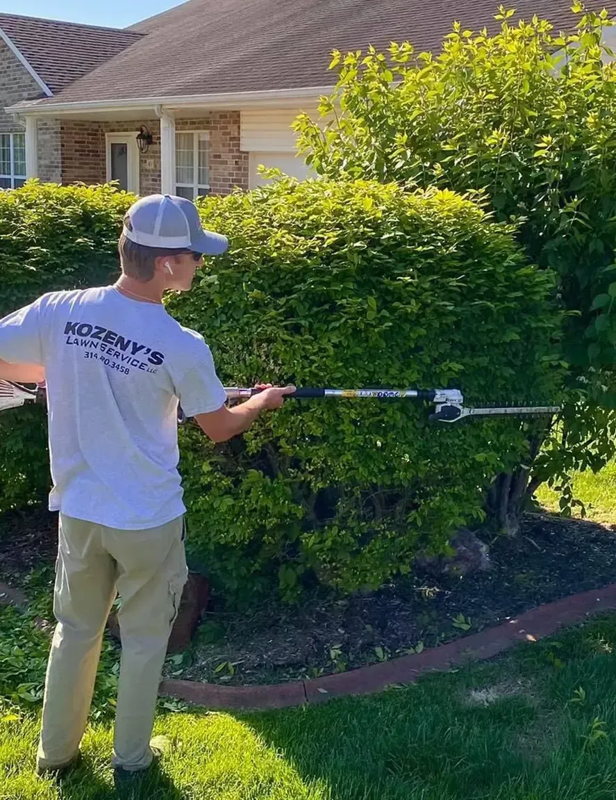 Shrub Trimming