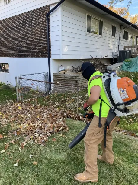 Landscape maintenance