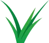 Kozeny's Lawn Service Icon