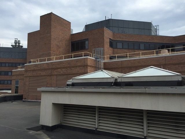 metal railing at a building rooftop