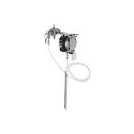 Anest Iwata DPS70