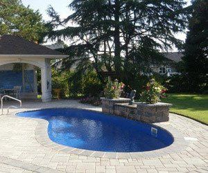 kidney shaped swimming pool