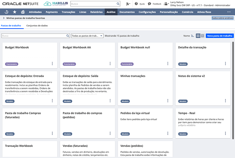 Workbook_Pasta de Trabalho_Mundo NetSuite