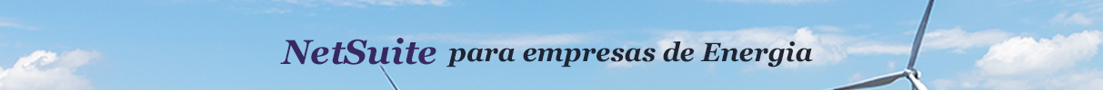 NetSuite para empresas de enegia