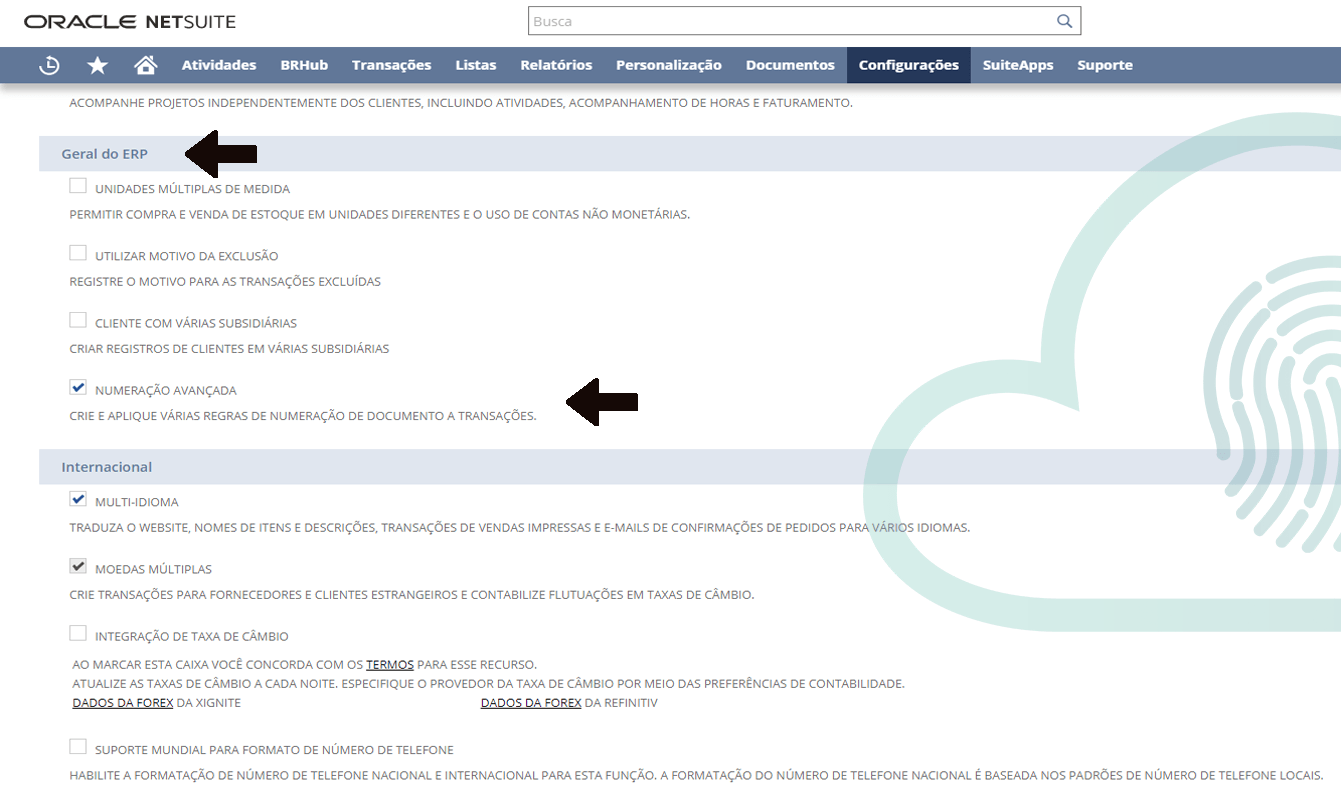 Entenda o Recurso de Numeração Avançada netSuite-habillis