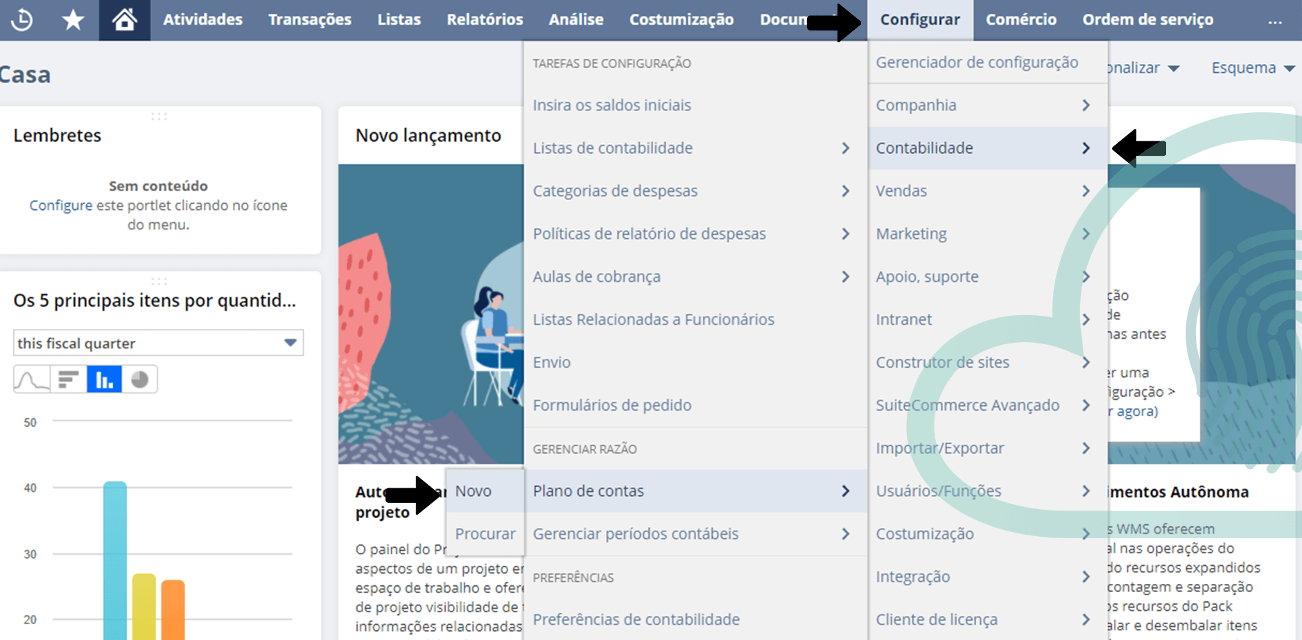 Plano de Contas NetSuite