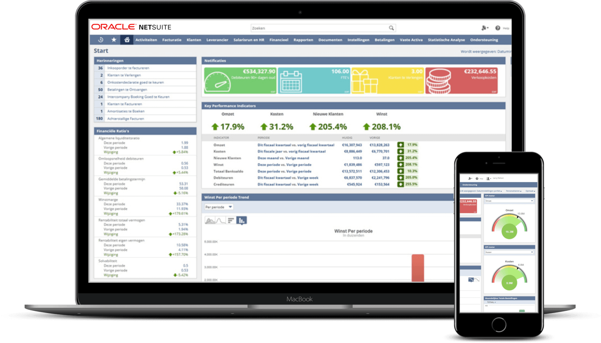 NetSuite Gestão de Projetos