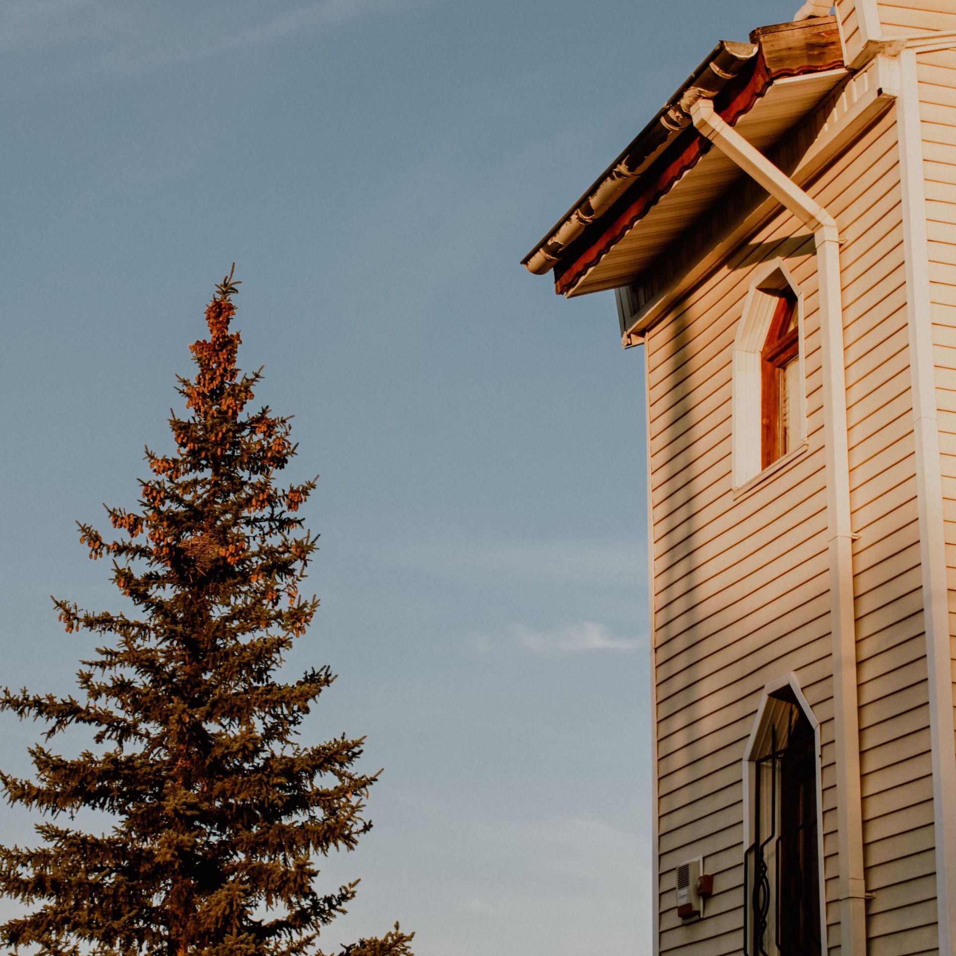 Tall evergreen beside a beige house with a red roof against a blue sky