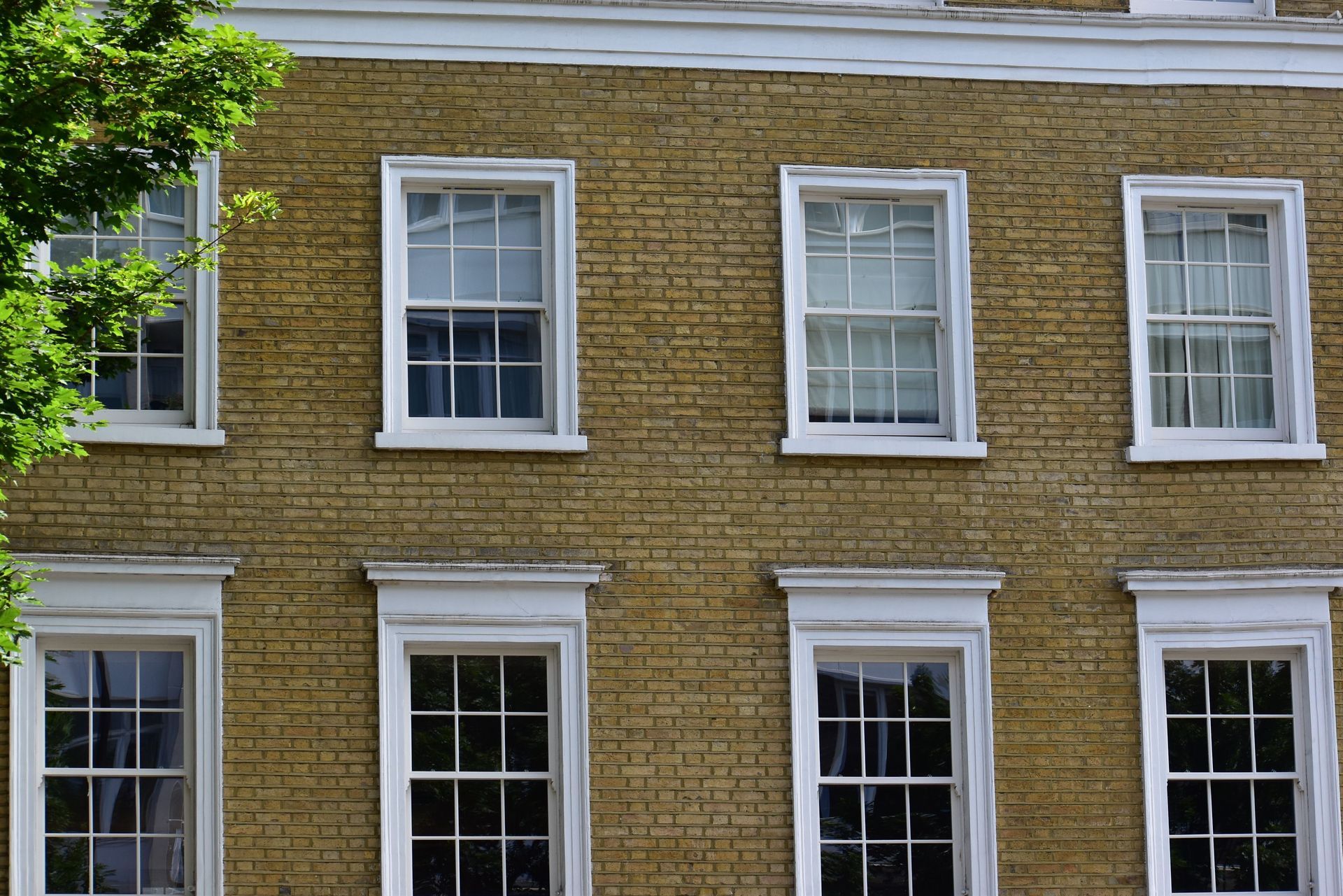 Brick building facade with white-trimmed windows and a leafy tree branch on the left