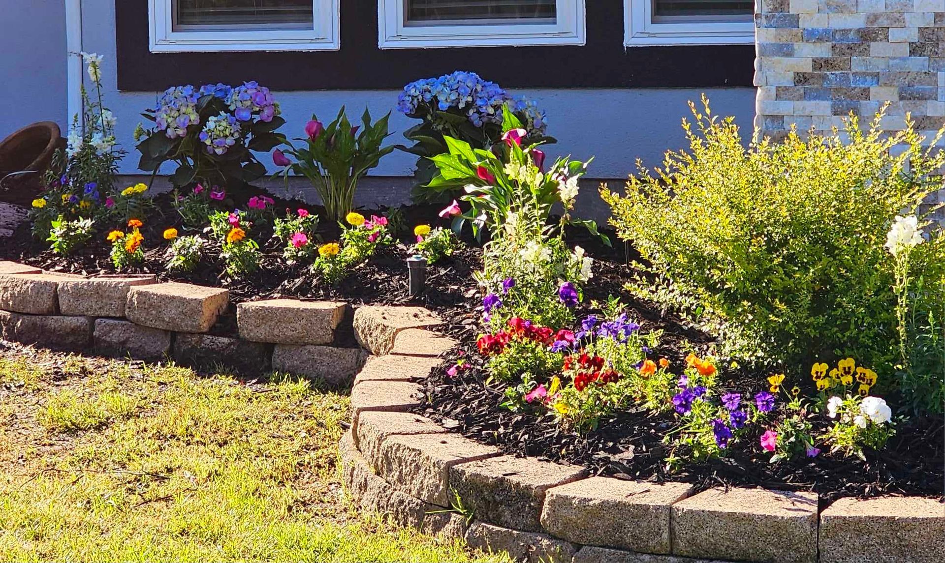 There are many different types of flowers in the garden in front of the house.